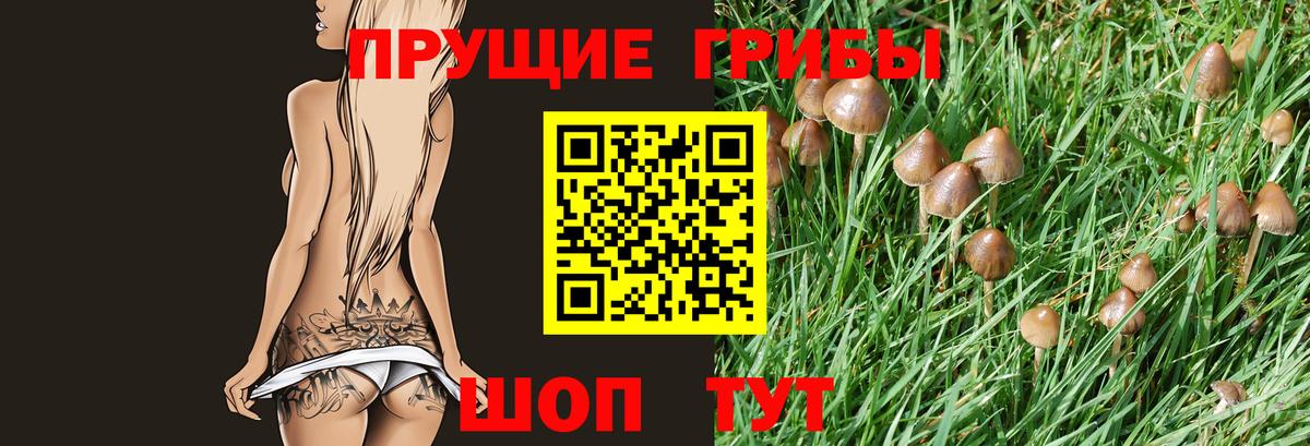 Галлюциногенные грибы MAGIC MUSHROOMS  магазин продажи   Псилоцибиновые грибы Magic Shrooms  Егорьевск  Вход с VPN 